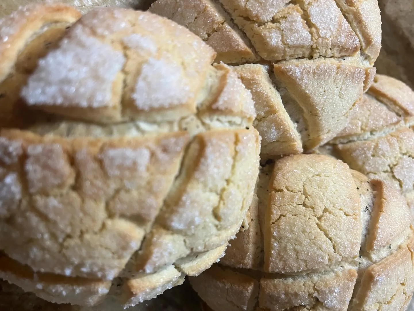 おはようございます!